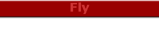 Fly