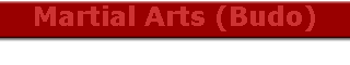 Martial Arts (Budo)